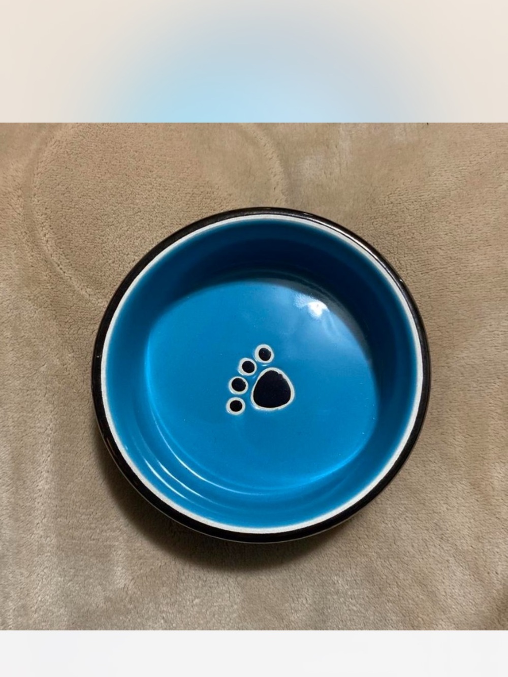 Ceramic Small Pet Bowl in Blue with Paw Accent